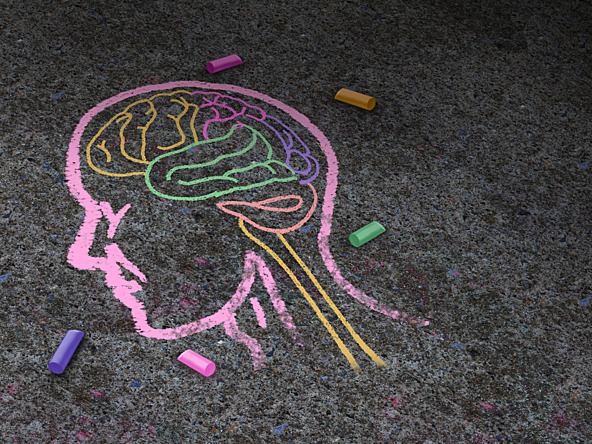 coloured chalk drawing of a brain on pavement